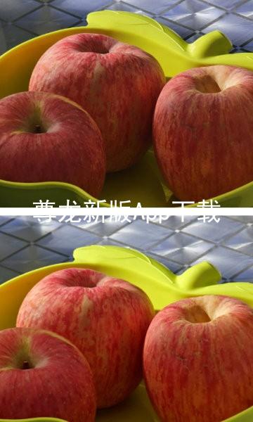 尊龙新版App下载